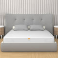 MiaSuite Divano letto, H10, matrimoniale, 160 × 190 cm, tessuto, pieghevole, ortopedico, anallergico, per soggiorno