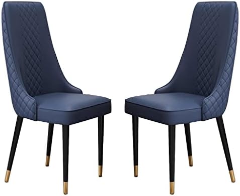 Sedia FEEGAR, 2 sedie, 48 × 45 cm, acciaio, pelle, Blu, imbottita, per sala da pranzo e cucina